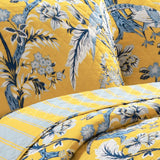 Yellow Blue 