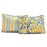 Yellow Blue 