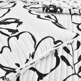 Black White 