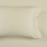 Neutral Sheet 