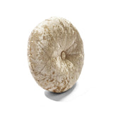 Neutral